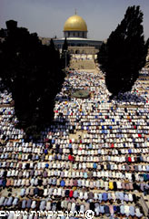 מוסלמים כורעים בעת תפילה ברחבת כיפת הסלע, ירושלים